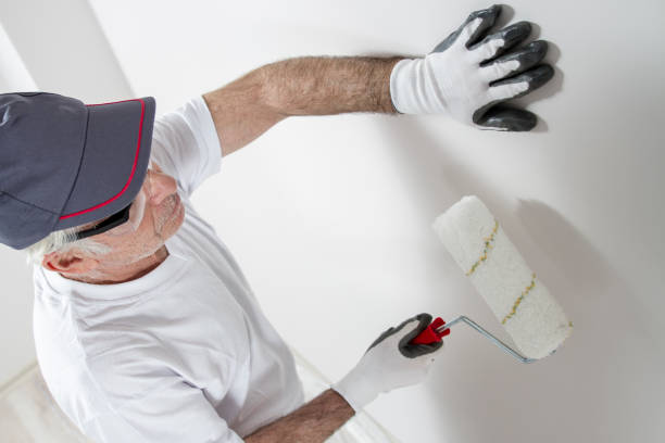  Windsor, IL Mold Removal Pros