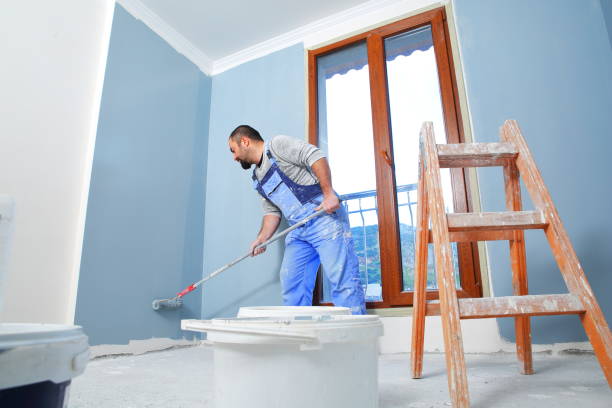Best Environmental Consulting for Mold Prevention  in Windsor, IL
