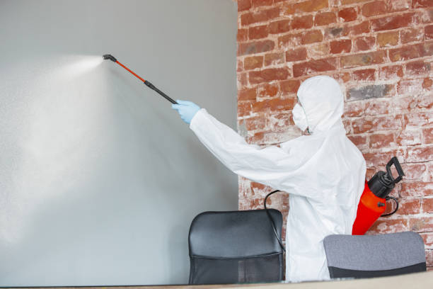 Best Mold Documentation for Insurance Claims  in Windsor, IL