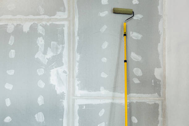 Best Asbestos and Lead Testing During Mold Inspection  in Windsor, IL