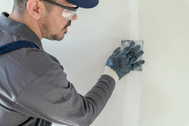 Best Mold Prevention Services  in Windsor, IL