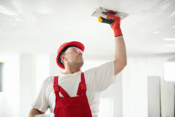 Best Real Estate Mold Inspection  in Windsor, IL