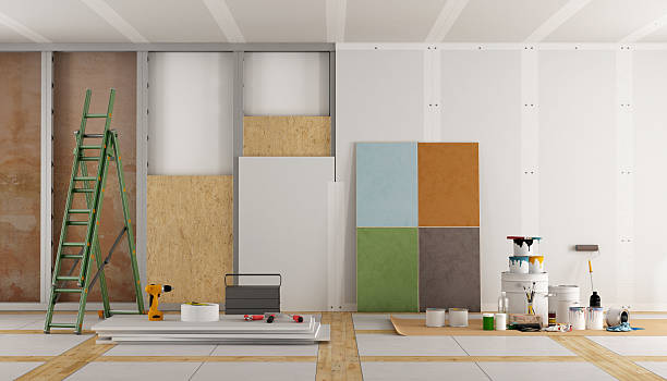 Best Mold Removal for HVAC Installations  in Windsor, IL